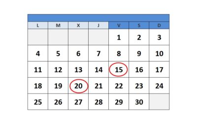 Calendario del Contribuyente diciembre de 2019.