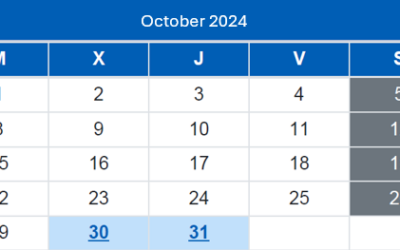 Spanish Taxpayer Calendar / October 2024