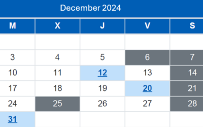 Spanish Taxpayer Calendar / December 2024