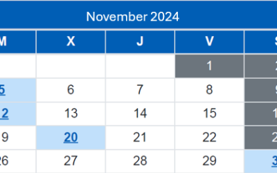 Spanish Taxpayer Calendar / November 2024