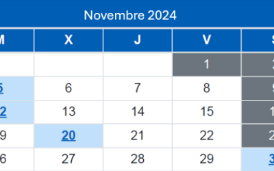 Calendari del Contribuent / Novembre 2024