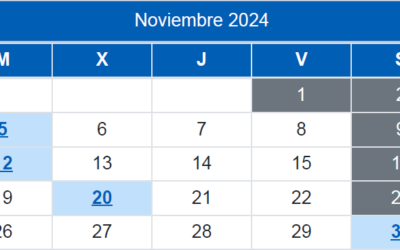 Calendario del Contribuyente / Noviembre 2024